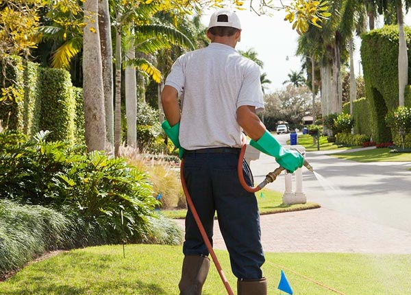 About White City KS Pest Control Pros